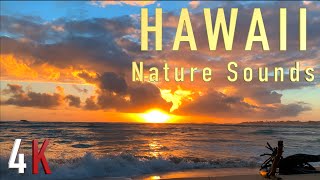 Гавайи Восход Солнца на Оаху Прибой Океана Hawaii Nature Sounds