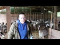 Goat life (part of our premilking chores at farmstead goat dairy in Oregon) Vlog #1