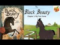 Black Beauty by Anna Sewell Ch 1,2,3 مترجمة قصة بلاك بيوتى للصف الثالث الاعدادى ملخص نصوص أستماع