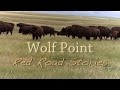 Wolf point  red road stories