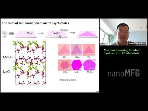 FDNS21: Machine Learning Guided Synthesis of 2D Materials