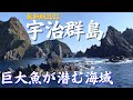 絶海の孤島、宇治群島『鮫島』❕時価10万円超の希少高級魚を狙う❕