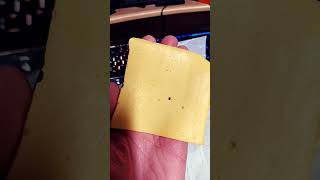 Land O Lakes American Cheese REVIEW