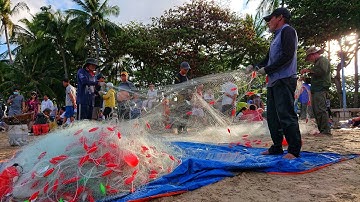 Ăn chơi Vũng Tàu : Ngư dân Vũng Tàu gỡ cá khỏi lưới và bán cá tươi rói
