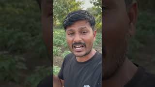 power weeder rotry machine #farming #machine #agriculture #newvideo