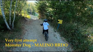 Monster Dog - MALINO BRDO - Maroshi´s very first attempt - 5 years old