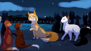 A plethora of MAP parts and WIPS