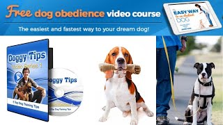 The Dog Calming Code Review | Online Dog Training with Doggy Dan [A Peaceful Pup Awaits]
