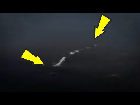 5 Strange Creatures Caught On Camera & Spotted In Real Life!