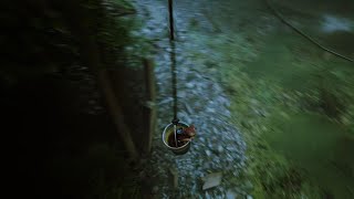 Stray Skyrim Easter Eggs