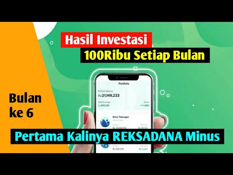 Hasil Investasi Bibit 100 Ribu Setiap Bulan - Bibit Reksadana Untuk Pemula