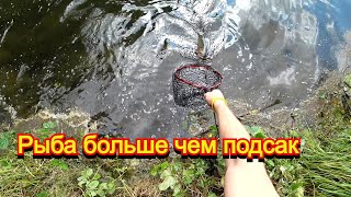 Супер улов на озере! 3 форели за 4 заброса. Рыбалка на спиннинг (лаксфорель).