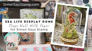 Sea Life Display Domes - Simon Says Stamp