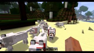 Minecraft - WHO LET THE DOGS OUT!? HD