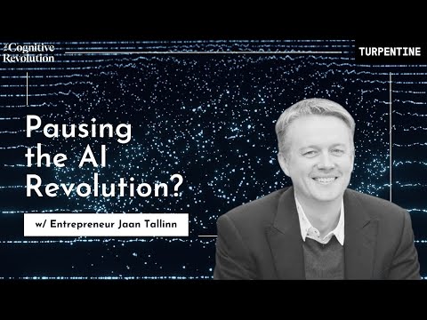 E16: Pausing the AI Revolution? With Technologist Jaan Tallinn
