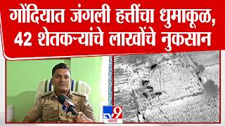 Gondia Wild Elephant Issue | गोंदियात जंगली हत्तींचा धुमाकूळ, 42 शेतकऱ्यांचे लाखोंचे नुकसान