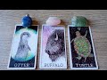 💗💥HOW DID THEY FEEL THE LAST TIME THEY SAW YOU ?💗💥 PICK A CARD : 🦋TIMELESS LOVE TAROT🦋