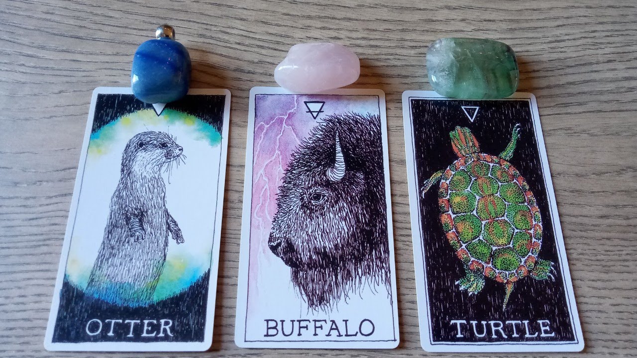 💗💥HOW DID THEY FEEL THE LAST TIME THEY SAW YOU ?💗💥 PICK A CARD : 🦋TIMELESS LOVE TAROT🦋