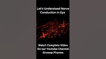 Nerve Impulse Conduction in Eye 3d Animation / Neurons of Eye Animation Video  #3danimation