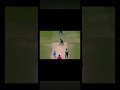 The art of yorkers || Tag editz ||