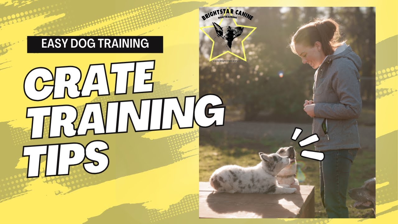 Easy Crate Training Tips: How To Make Your Dog Love Their Crate! - YouTube - Easy Crate Training With A Soft Crate
