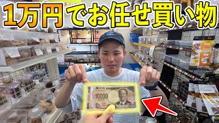 木から樹液がでることすら知らない男に昆虫ショップでお買い物させた結果
