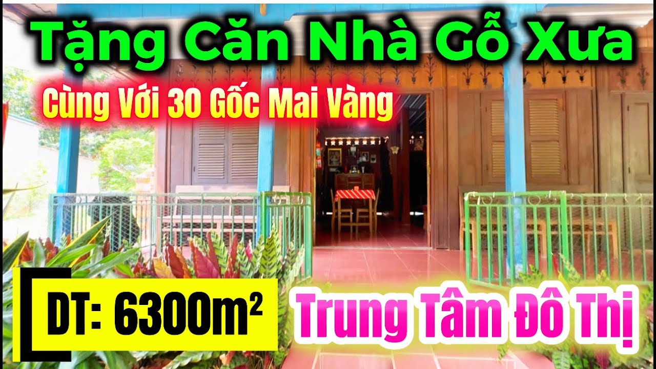 Chính chủ cần bán 6300m² đất trung tâm đô thị - Tặng ngay vườn mai vàng & căn nhà gỗ trên 20 năm