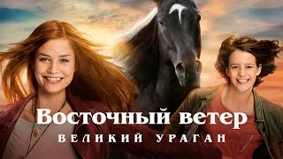 Мультфильм Восточный ветер Великий ураган 2021 Windstorm семейное кино Высокий рейтинг