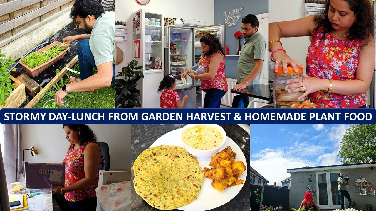 No Rush Morning To Evening Routine - 1st Veg Harvest, Satisfying Brunch, Organization, & Plant Food