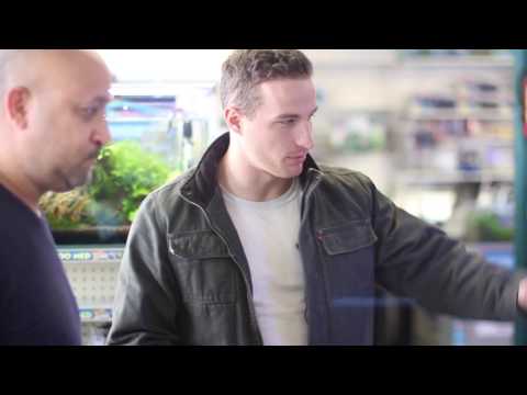 Mypetworld- The Aquarium