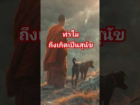 ผลสลากกินแบ่งรัฐบาล วันที่ 1 พย. 2567 ผลสลากกินแบ่งรัฐบาล วันที่ 1 พย. 2567