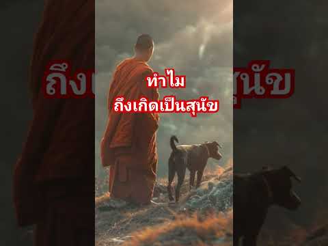 ทำไมถึงเกิดเป็นสุนัข #เล่าเรื่อง #ธรรมมะเข้าใจง่ายๆ #นิทานธรรม #พระธุดงค์ #กรรม