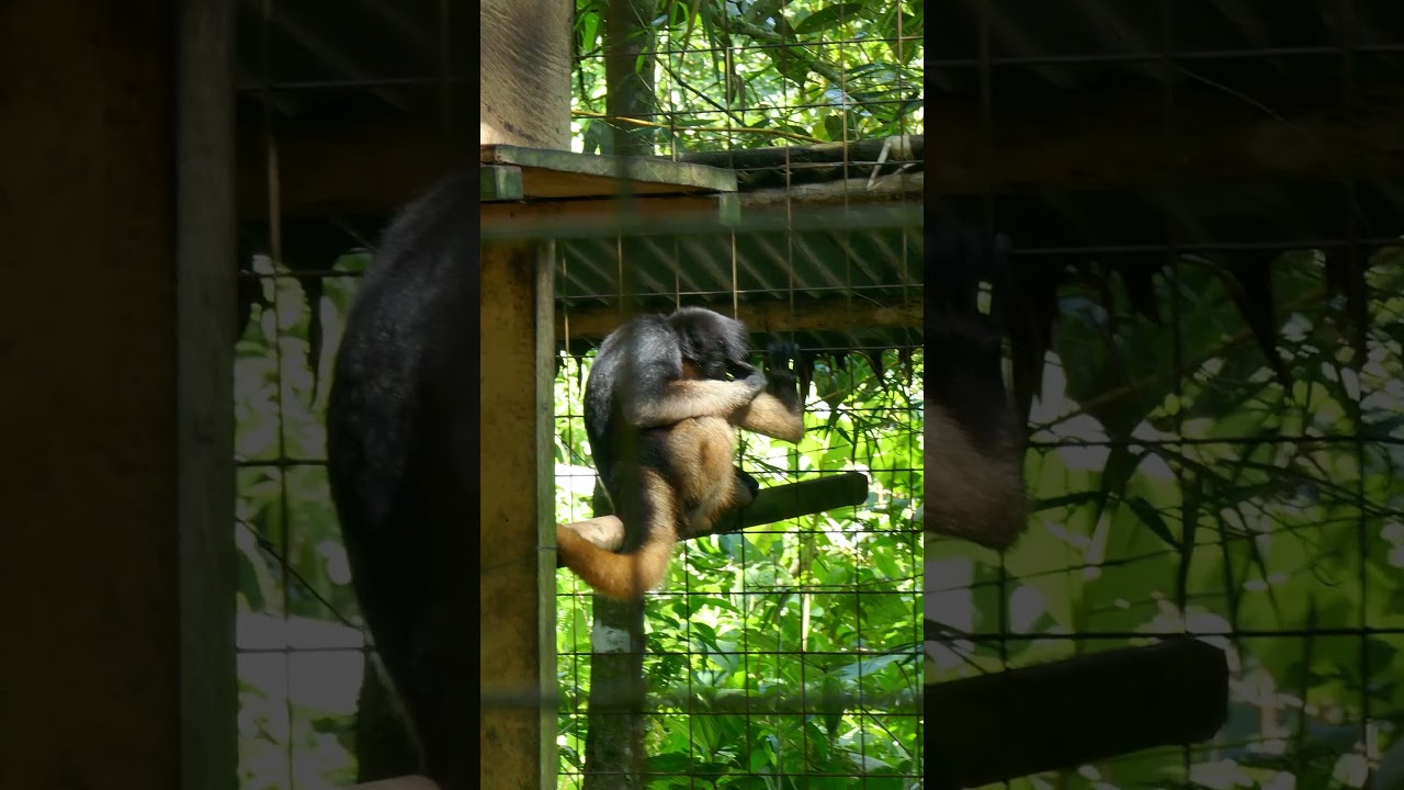 Into the Amazon: Exploring Napo Province