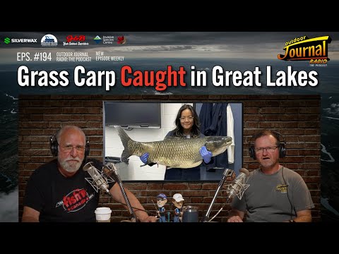 Massive Grass Carp Caught in Ontario Waters! Are Our Lakes at Risk?