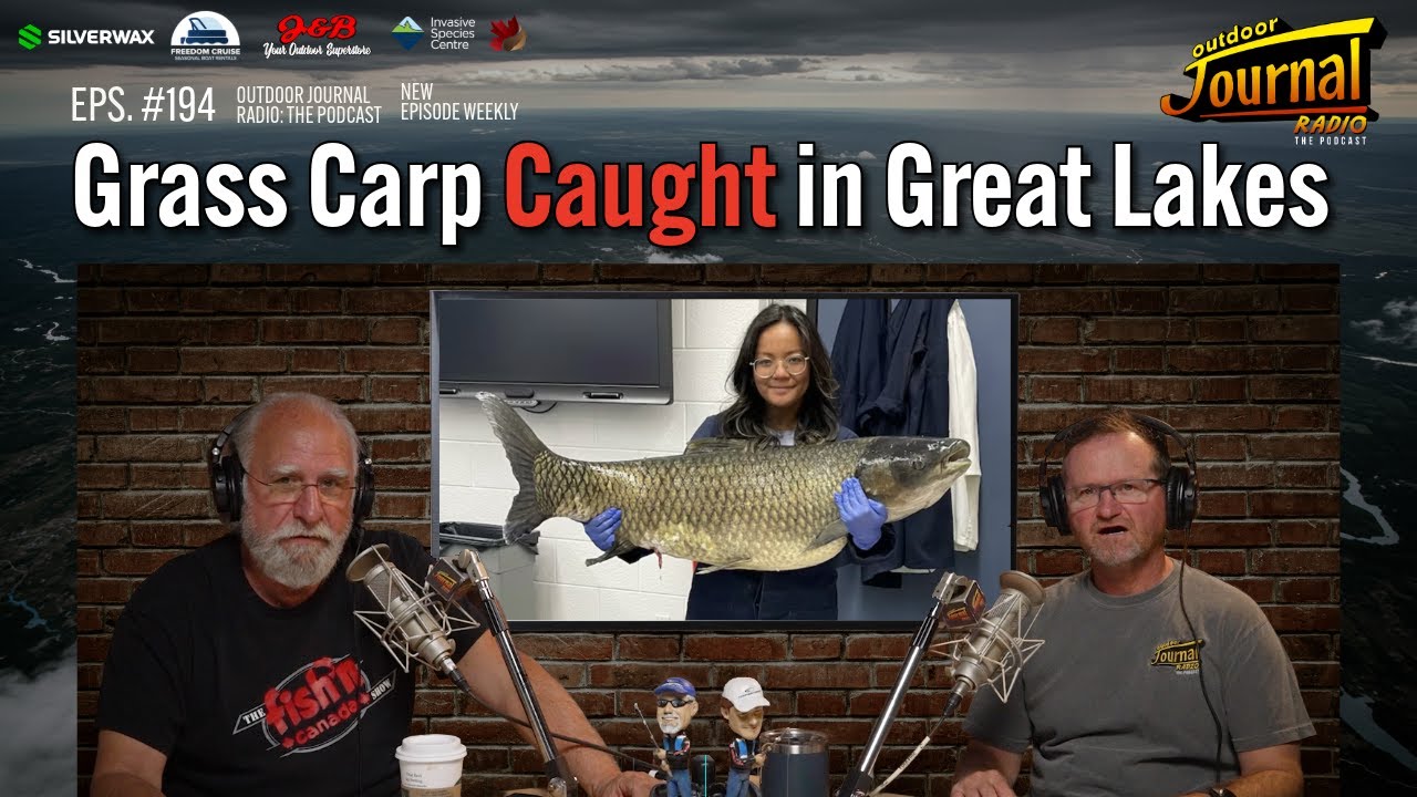 Massive Grass Carp Caught in Ontario Waters! Are Our Lakes at Risk?