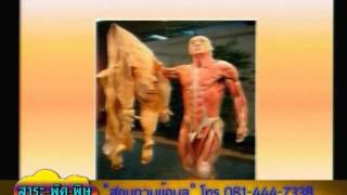 สาระพัดพิษ 26-1-2559 b2