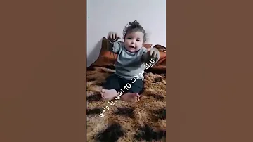 نايلي جديد 2023 
