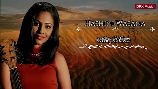Seda Mawatha (සේද මාවත )| Hashani Wasana | Lyrics Video