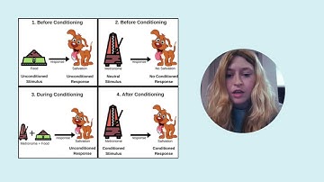 PSY 816 Final Project