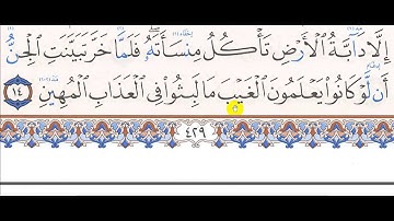 تلاوة سورة سبأ 10 21 صف 6