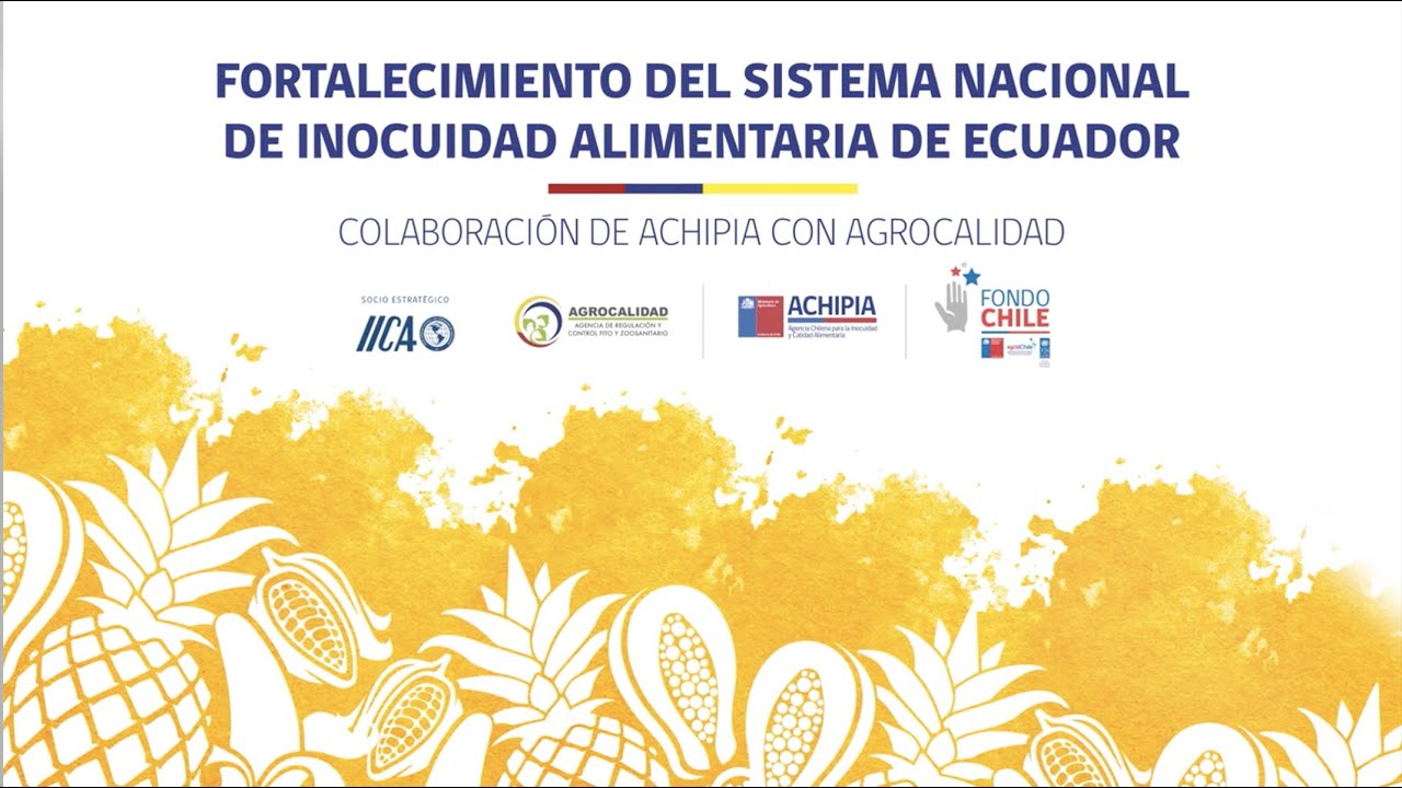 FORTALECIMIENTO DEL SISTEMA NACIONAL DE INOCUIDAD ALIMENTARIA DE ...