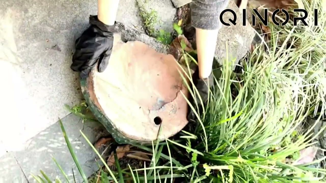 Cleaning My Messy Garden with Qinori Nitrile Gloves 🌿🧤 | You Won’t Believe What I Picked Up…