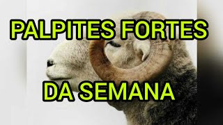 PALPITES FORTES DA SEMANA DO DIA 20 AO DIA 26/04/26 (SORTE A TODOS)@canaldomarcao1969 