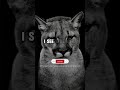 when I look back on my life#trendingreelsvideo #unfrezzmyaccount #foryoupage #yt #foryou #viralvideo