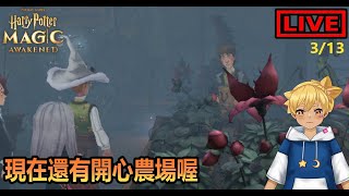 【阿月遊戲直播 (ENG/CN)】這是開心農場嗎 | 哈利波特:魔法覺醒