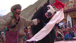 Beautiful Yak Dance Song Leh Ladakh Tserkarmo Monastery