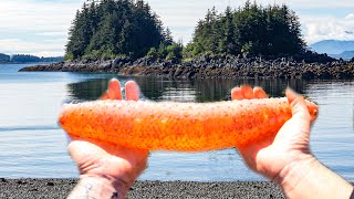 TINY ISLAND Has Sea Cucumbers!? We Ate It...