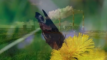 OnePointFive - Neighborhood