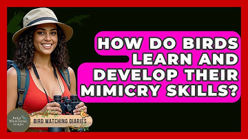 How Do Birds Learn And Develop Their Mimicry Skills? - Bird Watching Diaries