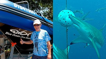 Experience A Baited Shark Dive - Scuba Tech Tips: S06E20